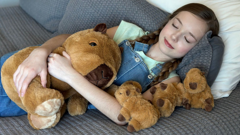 Are Stuffed Animals Hypoallergenic? What You Should Know (Complete Guide for 2026)