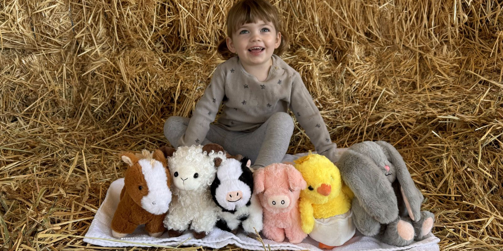 Selecting Suitable Plush Toys for Your Pre-Kindergarten Classroom