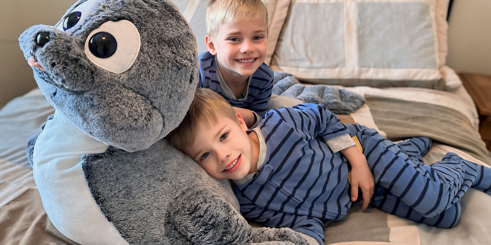 How to Store Your Stuffed Animal Toys?