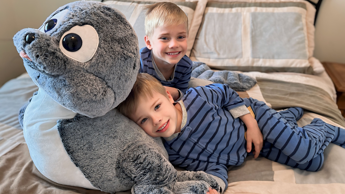 How to Store Your Stuffed Animal Toys?