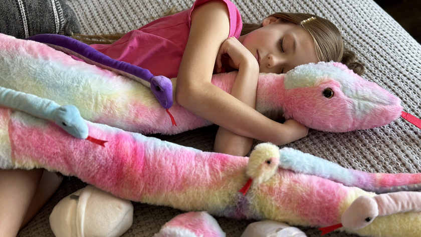 Discovering the Cool Snake: From Wild Giants to Cuddly Plushies
