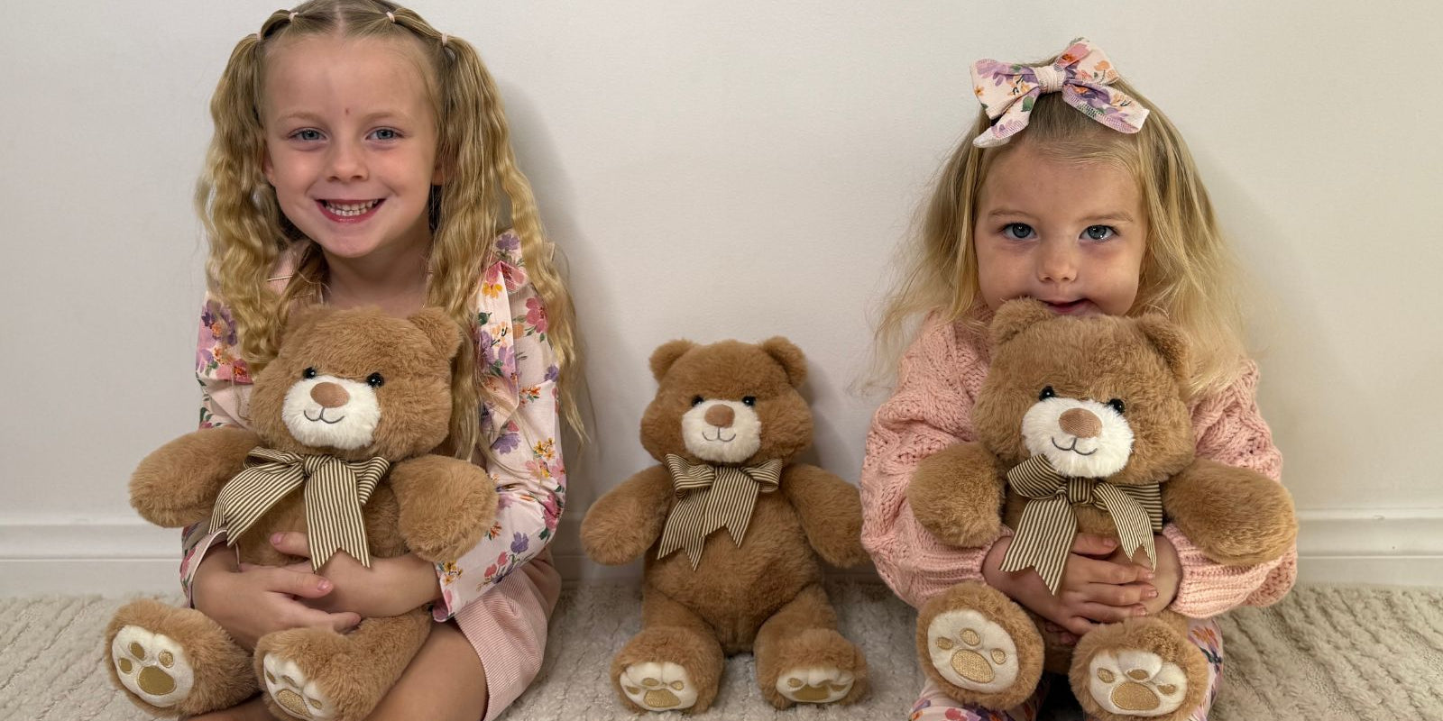 Starting a Stuffed Animal Collection: Expert Tips for New Hobbyists to Build a Cherished Plush Trove