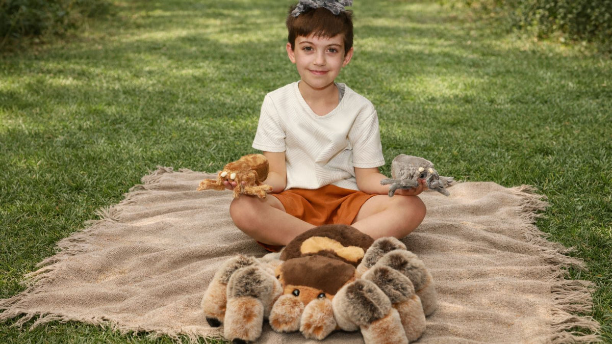 Why Stuffed Animals Are Comforting at Any Age | The Emotional Power of Plush Companions