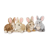 4 Piece Bunny Plush Toy Set Easter Stuffed Animals 9 Inch