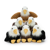 7 Inch Cute Bald Eagle Stuffed Animal Bulk Pack