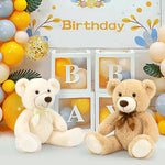 2 Pack Teddy Bear Plush Toys - Light Brown/Beige Teddy Bear Plush  - Teddy Bear Stuffed Animal Bulk for Kids, Carnival Prizes, School Gifts, Valentine's Day Party Favors - 22 Inches Teddy Bear Plush Dolls - Teddy Bear Theme Baby Shower Decoration