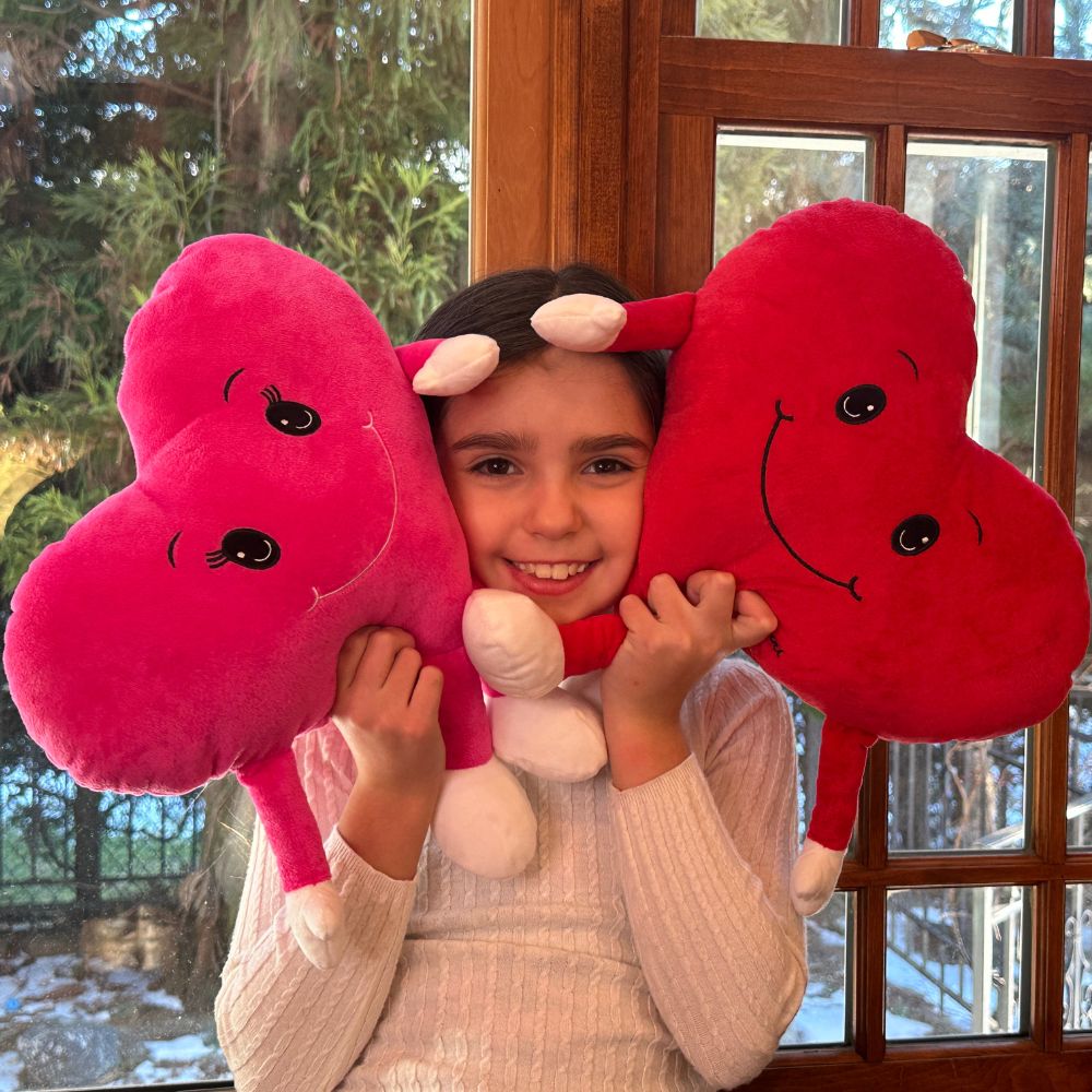 Heart Shaped Plush Pillows - Two Pcs Love Pillow Cushions 10 Inches - Heart Cartoon Throw Pillows - Cute Plush Soft Emoji Throw Pillows for Couch Bed - Decorative Throw Pillows - Valentine's Day Gift