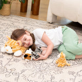 Ensemble de jouets en peluche pour chat, orange, 16 pouces