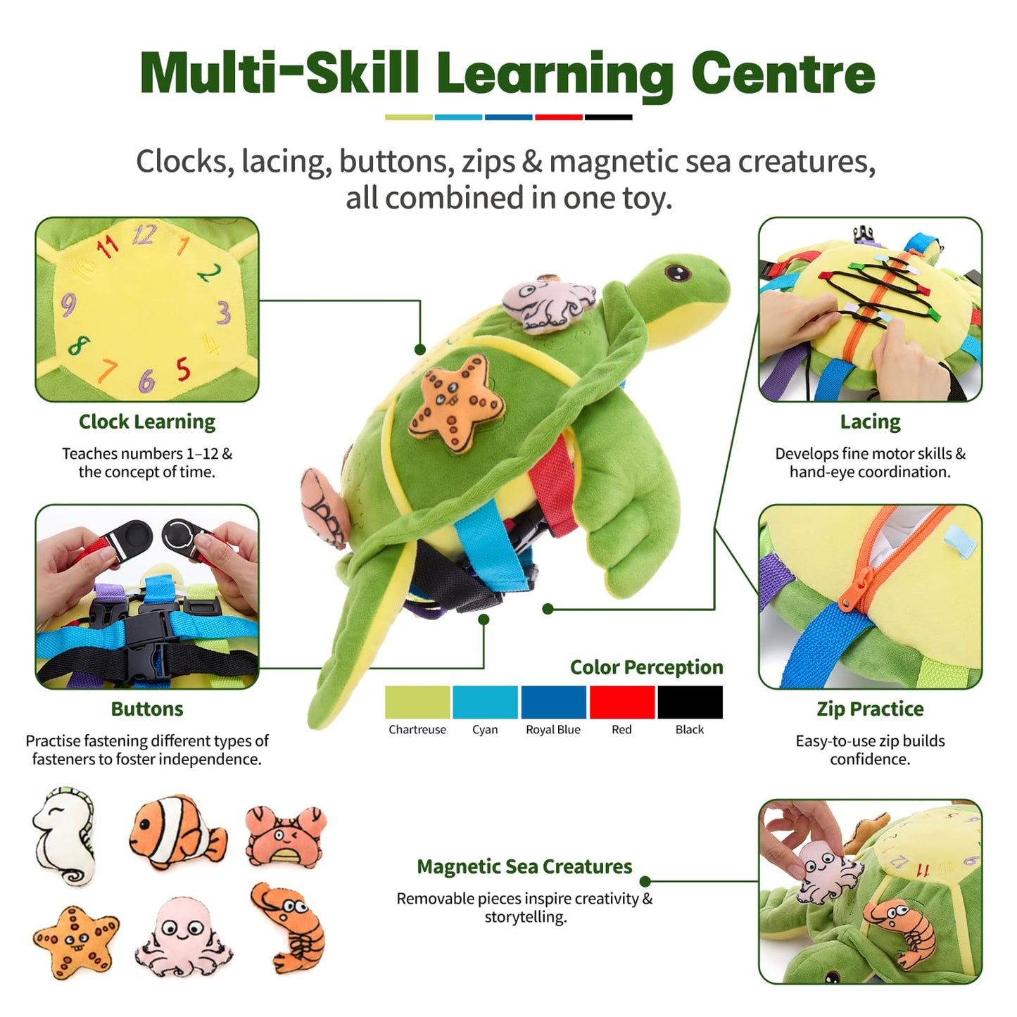 Educational turtle toy for toddlers designed to improve fine motor skills hand eye coordination and sensory development