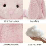 Personalized Embroidered Bunny Plush Toy Custom Name Stuffed Rabbit Toy