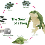 Frog Stuffed Animals - Frog Tadpole Plush Toys - 5 Pcs Frog Stuffed Animals - Realistic Frog Tadpole Plush Dolls - Cute Cartoon Plush Pillows for Kids - Cozy Cushion Pillows - Christmas/Birthday Gift for Kids