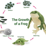 Frog Stuffed Animals - Frog Tadpole Plush Toys - 5 Pcs Frog Stuffed Animals - Realistic Frog Tadpole Plush Dolls - Cute Cartoon Plush Pillows for Kids - Cozy Cushion Pillows - Christmas/Birthday Gift for Kids