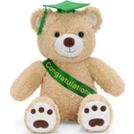 Soft teddy bear wearing a green graduation cap and congratulations sash