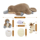 21.65-Inch Platypus Plush Toy Set with Three Babies and Eggs