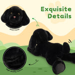Black plush dog toy with close-up details on a green and beige background