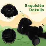 Black plush dog toy with close-up details on a green and beige background