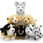 6 Pcs Dog Stuffed Animals Puppy Plush Toys, 10 Inches - Schnauzer/Husky/Bernese/Golden Retriever/Beagle/Dalmatian - MorisMos Puppy Stuffed Animals Bulk - Dog Plush Toys Collection - Free Shipping