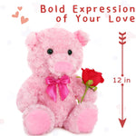 Realistic Pig Stuffed Animals - 12 Inches Piggy Plush Toys - Valentine's Day Gift for Girlfriend/Boyfriend - Fluffly Cuddly Plushy Fluffy Toy - Cute Pink Pig Cartoon Plush Pillows for Kids - Christmas/Birthday Gift for Children/Teens/Adults - Romantic Anniversary Gift for Wife/Husband - Free Shipping
