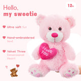 Stuffed Mocha Heart Bear – I Love You - Pink Plush Bear Toy for Kids & Adults - Embroidered Heart Throw Pillow - Valentine's Day Teddy Bear Stuffed Animals - 12 Inch Teddy Bear Plush Toys - Teddy Bear with Hearts